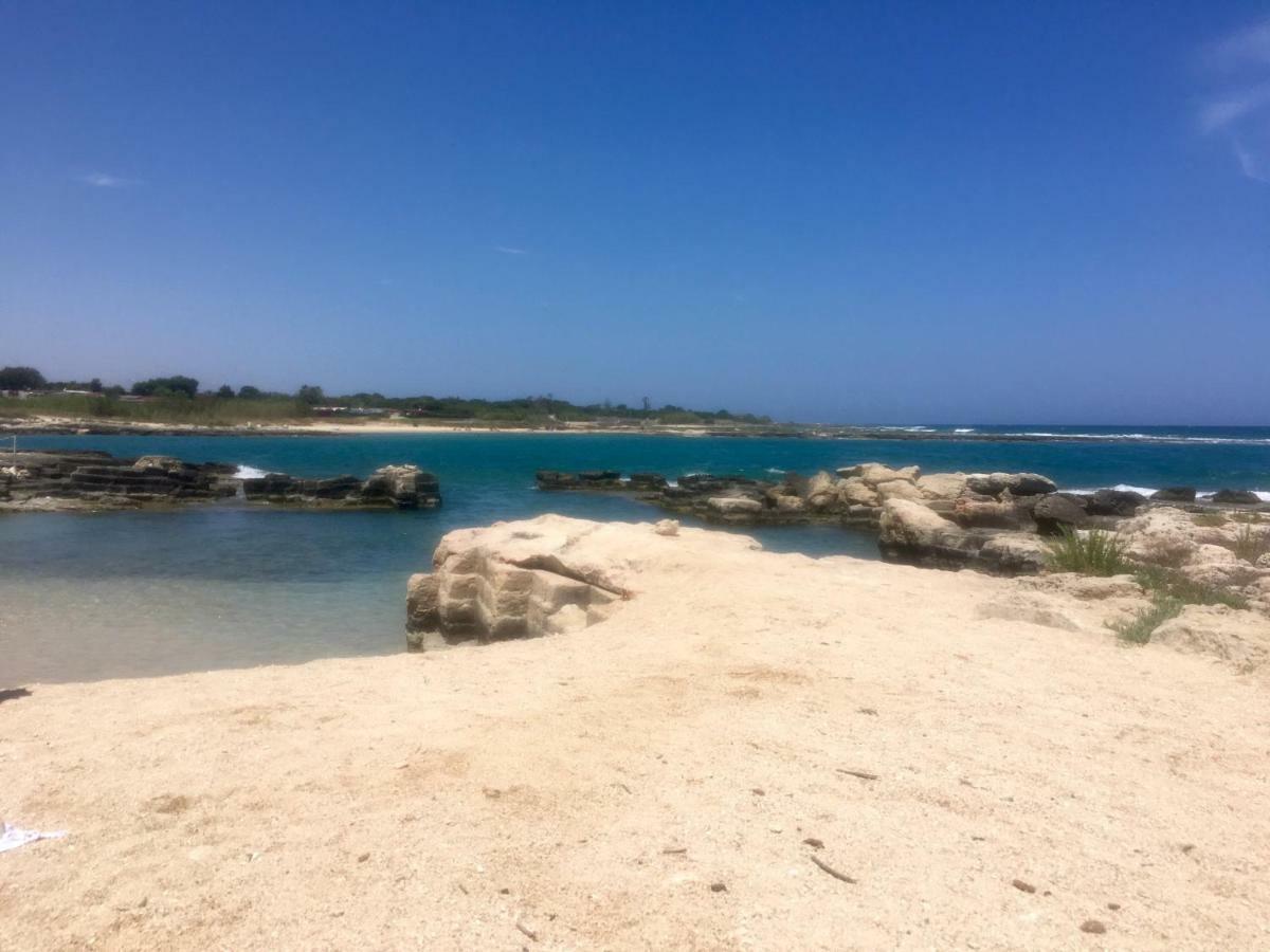 Almarea Blu - Appartamento In Villa Vicino Al Mare - Affitto Breve Polignano a Mare Luaran gambar